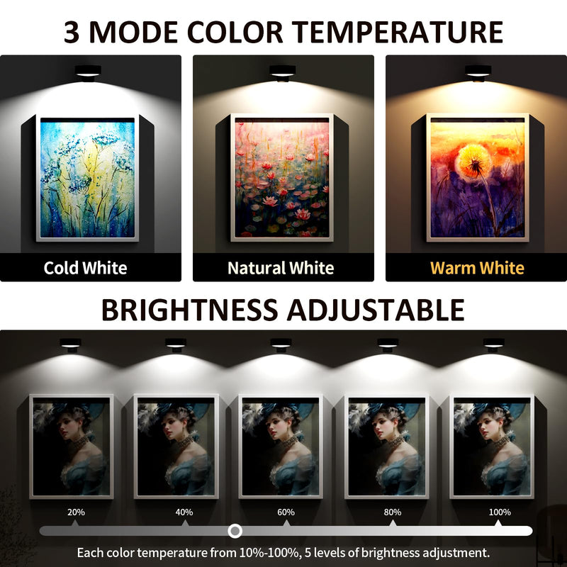 Picture Lights for Wall, Painting Frame Lights with 3 Lighting Modes, Rechargeable Battery Operated Wall Lights, Magnetic Led Painting Lights with Remote Dimmable and Timer (Black, 3Pack) Black