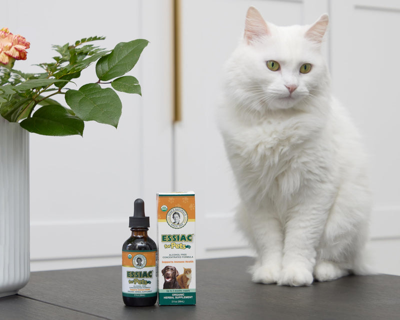Essiac for Pets | USDA Organic | Daily Drops for Immune Support and Longevity | Pre-Measured Dropper | Alcohol Free Concentrated Formula | 2oz (59ml)