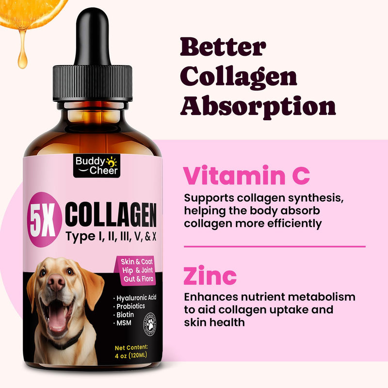 Gut & Skin Health Bundle for Dogs & Cats – Probiotic Powder + Liquid Collagen