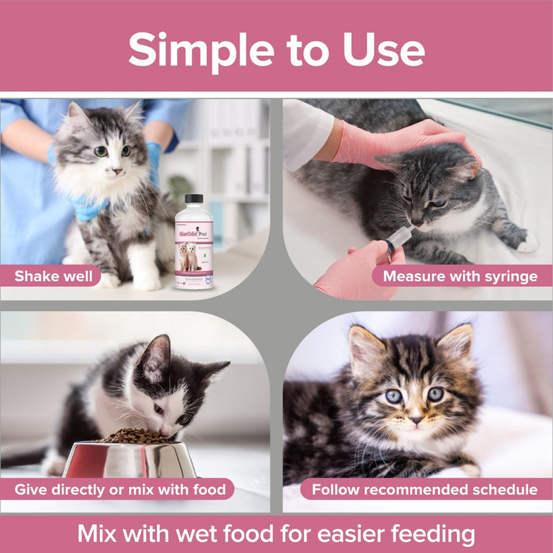 No More Tapeworms in Cats and Kittens- Dewormer for Cats and Dewormer for Kittens - 60mls Chicken Flavour with 3ml Dropper-USA Made Oral Suspension Chicken Flavor-60mls