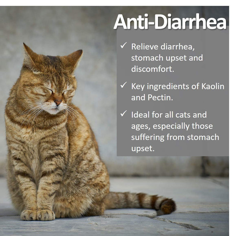 Vet Worthy Anti-Diarrhea for Cats (4 oz) - PawsPlanet Australia