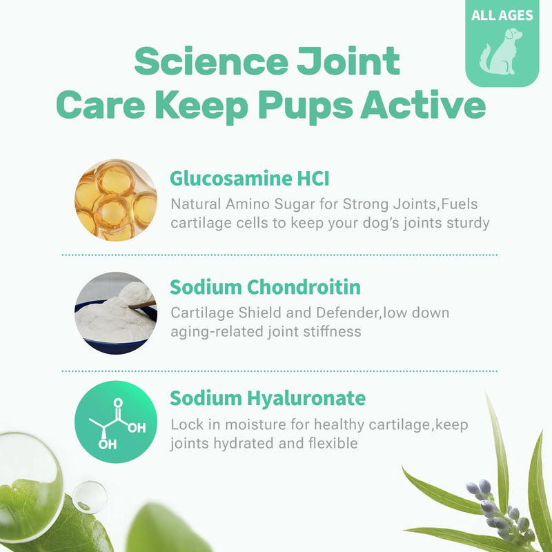 Dog Hip and Joint Supplement, Glucosamine Chondroitin Chews with Green Lipped Mussel Omega 3 Collagen Support Joint Flexibility Pain Relief, Joint Supplements for Small Large Breeds Dogs, 90 Count