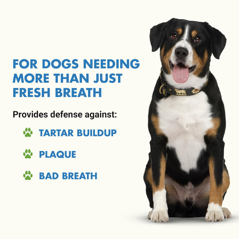 LIQUID-VET Ultimate Dog Dental Care Solution: Teeth Cleaning & Plaque Remover Food Additive - Fresh Breath Mouthwash, Tartar Control, and Gum Health Support - Premium Pet Product Unflavored 8 oz