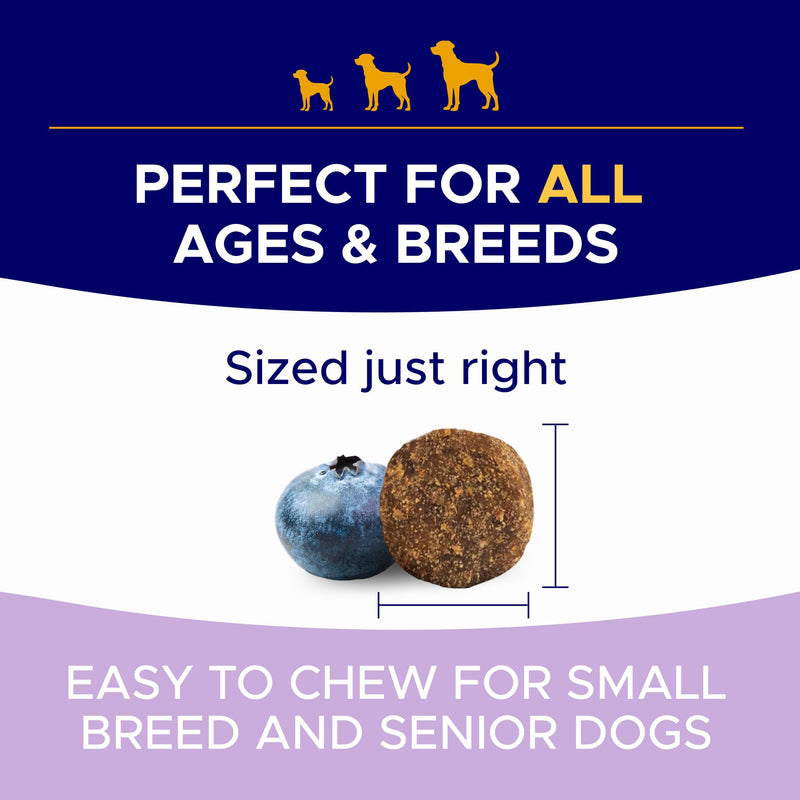 Probiotics for Dogs Gut Health & Digestive Function Support - Probiotic Chews w Pumpkin & Omega - Upset Stomach & Gas Relief, Constipation, Canine Prebiotic Supplement Hickory Bacon 120 Probiotics Chews - PawsPlanet Australia