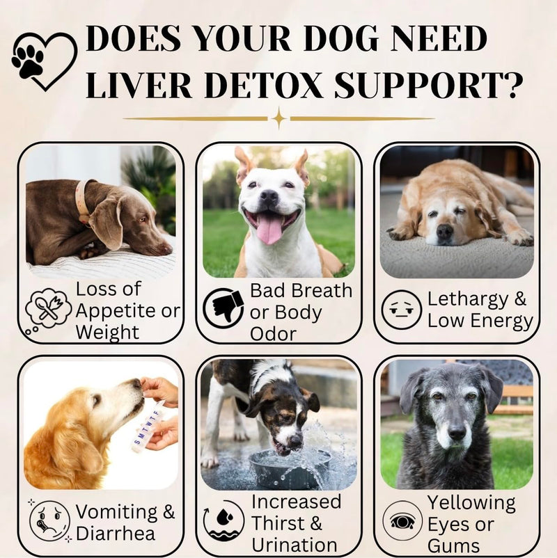 Advanced Liver Support & Turkey Tail Mushroom Chews for Dogs – Milk Thistle, Same, Turmeric & Organic Mushroom Blend – Immune, Liver, Kidney, Gut & Joint Health Support – 90 + 90 Chews