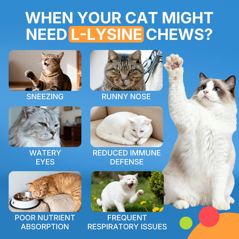 WEALLIN L-Lysine Chews & Cat Hairball Support Chews Bundle – Immune, Respiratory & Skin Health + Furball Control & Digestion Support for Cats – 500 Chews Each, Chicken Flavor