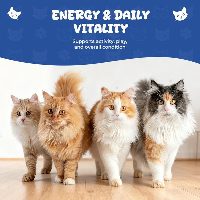 Vitamin B12 Appetite Stimulant Drops for Cats, Methylcobalamin Liquid Cat Supplement for Appetite, Energy & Metabolism Support, Helps Picky or Low-Energy Cats Eat & Thrive, 2 fl oz