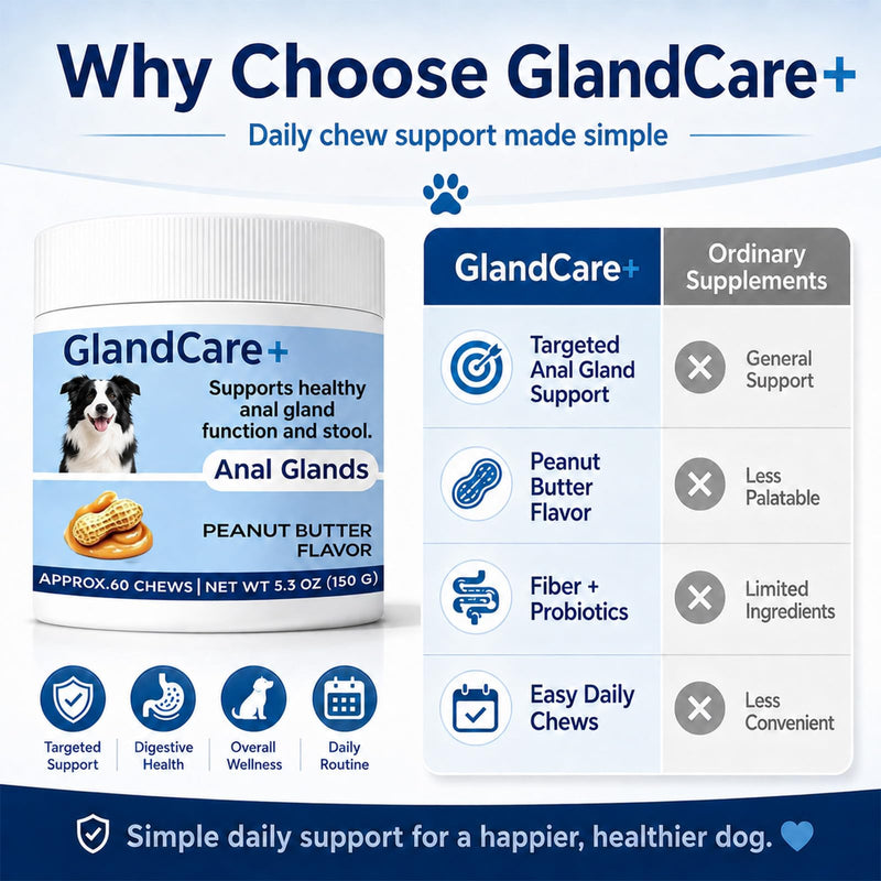 GlandCare+ Anal Gland Chews for Dogs - Pumpkin Seed, Psyllium Husk & Probiotics - Peanut Butter Flavor - Relieves Scooting & Odor - Digestive Health & Stool Support Supplement - 60 Count