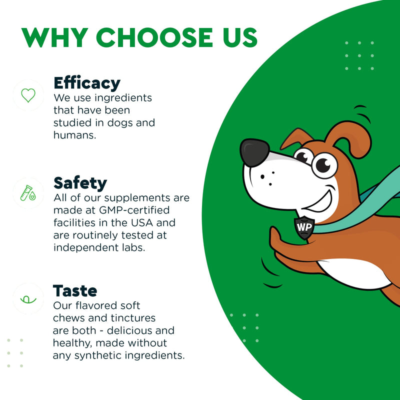 Grass Hero Soft Chews Plus Heart + Vitality Chews - for Dogs Urinary Tract Health, Lawn Care, Cardiovascular Support & Energy - Grass Hero 60 Chews - Heart + Vitality 90 Chews - PawsPlanet Australia
