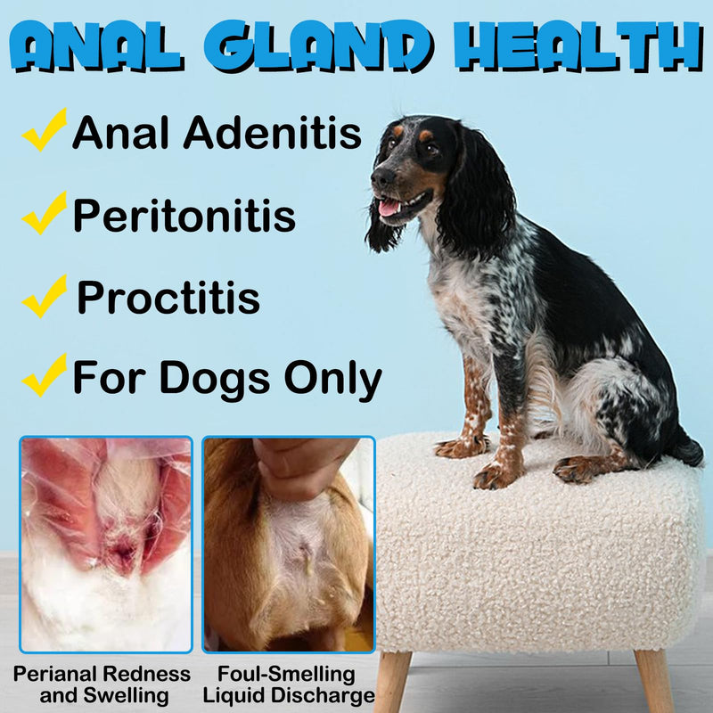 Anal Gland Support Soft Chews for Dog, 150PCs Dog Anal Gland Treats w/Pumpkin, Digestive Enzyme & Probiotics Support Healthy Bowel Function - Dog Health Supplies Fibre Supplements Chews - Beef Flavor - PawsPlanet Australia