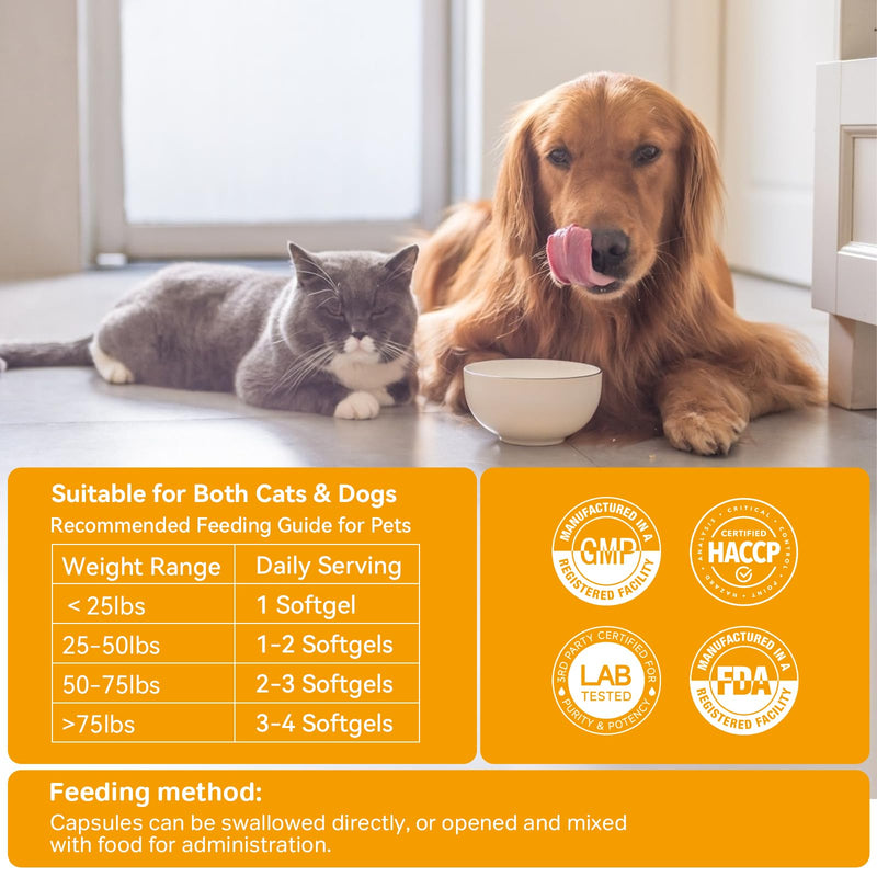 Probiotics for Dogs & Cats - 33.3B CFU, 11 Patented Strains & 4 Digestive Enzymes - Digestive & Gut Health, Immune Support, Cholesterol Metabolism & Weight Management - 80 Capsules