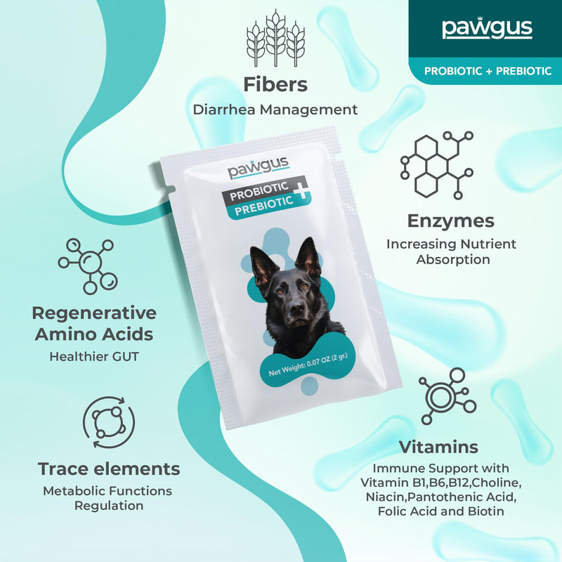 Ultimate Prebiotic and Probiotic Combo for Dogs Canine 30 Sachets - Digestive Enzymes for a Healthy Gut, Diarrhea Relief, Immune Support, Gas Relief, 7 Billion CFU, Vitamins - Vet Recommended