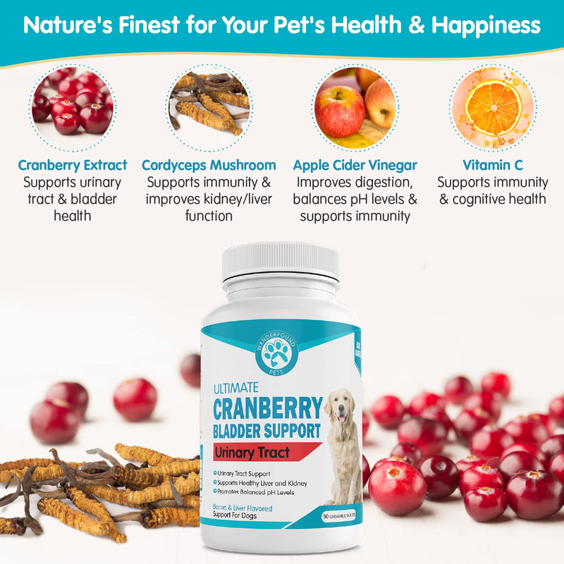 Wanderfound Pets Ultimate Cranberry Bladder UTI Support Supplement for Dogs - Dog Urinary Tract Infection Incontinence Formula with Cordyceps Mushroom - Bacon & Liver Flavor - 90 Chewable Tablets - PawsPlanet Australia