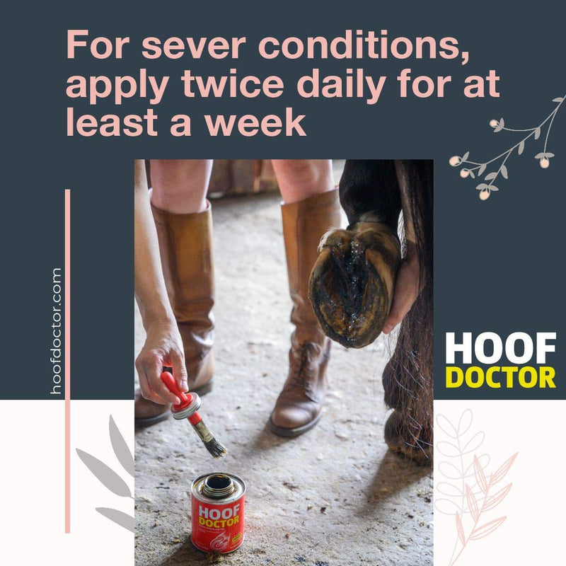 Mineral Medix Hoof Doctor - White Line | Thrush | Abscesses | Quarter Crack | Seedy Toe | - 100% All-Natural Hoof Care Product - Birch Bark Extract with Organic Oils, Vitamins A & D 16 fl. Oz - PawsPlanet Australia