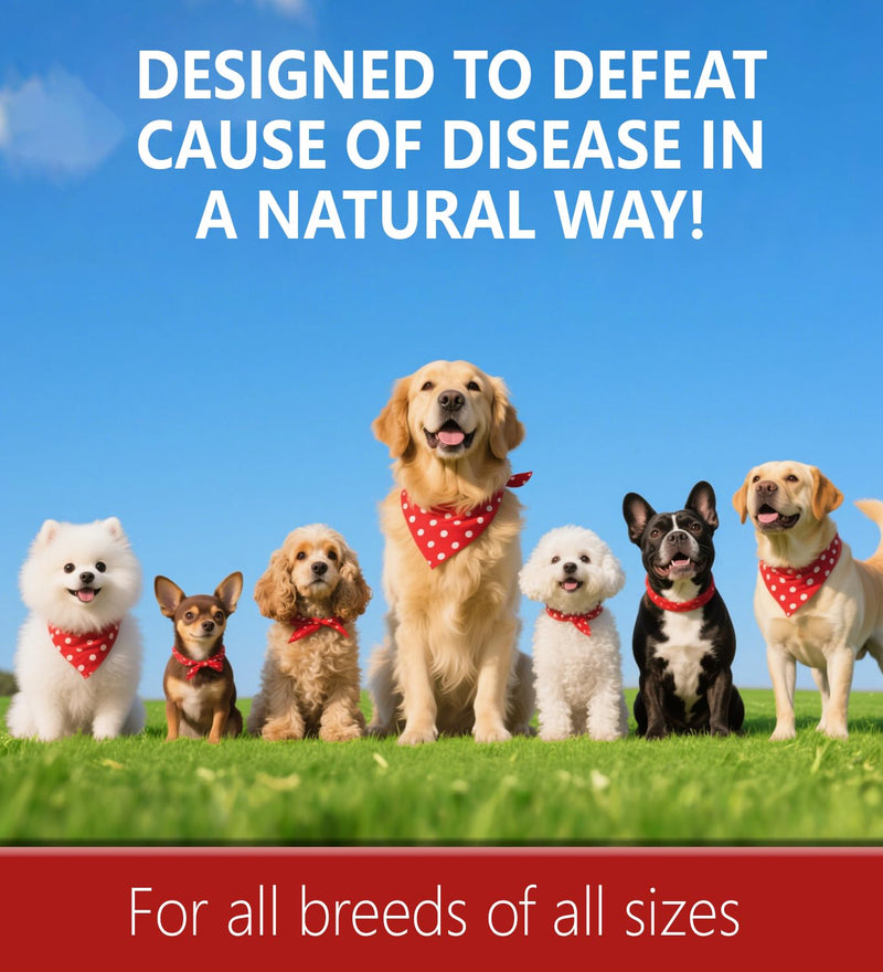 Kennel Cough for Dogs, Natural Dog Cough Treatmen, Gentle Dog Allergy Relief, Cough Supplement for Dogs Respiratory Infection, Herbal Drops for All Breeds & Sizes