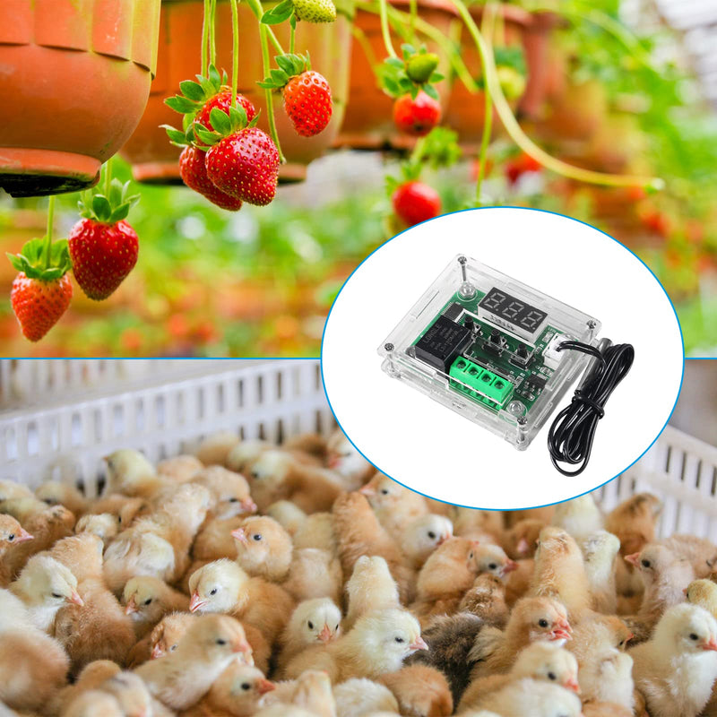 6pcs W1209 12V DC Digital Temperature Controller Board with Case Micro Digital Thermostat -50-110°C Electronic Temperature Temp Control Module Switch with 10A One-Channel Relay and Waterproof Blue 12V BLUE