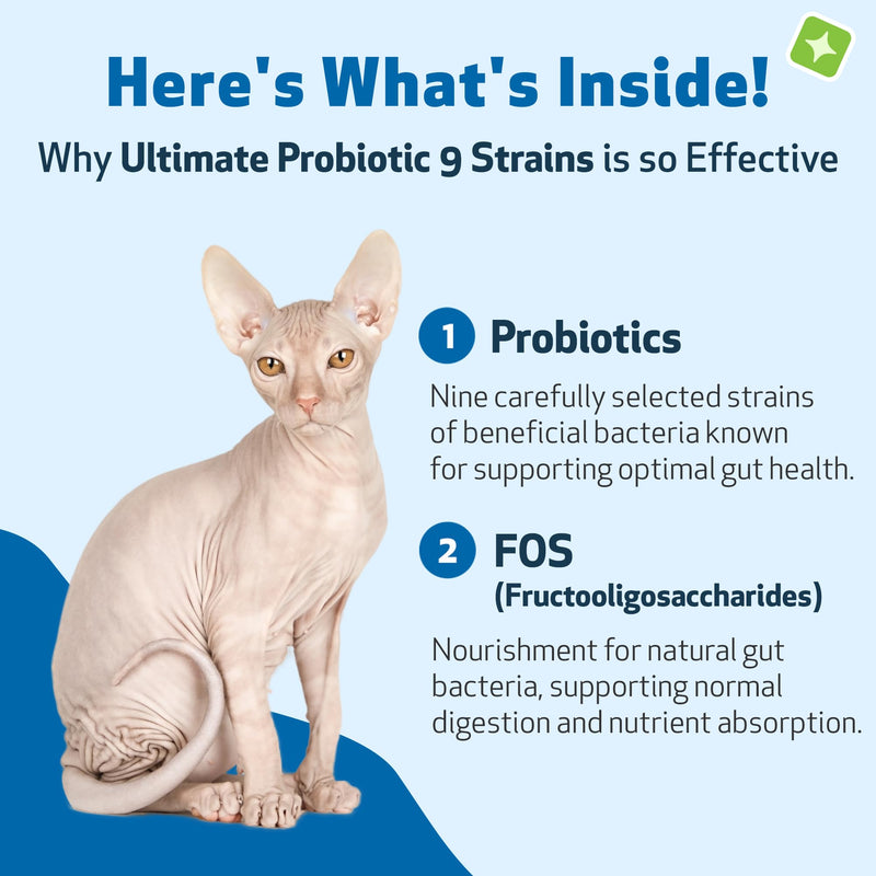 Pet Wellbeing Ultimate Probiotic 9 Strains with FOS Prebiotics for Cats - Digestive Health, Immune Support & Gut Flora Balance - NASC Certified & Vet-Formulated - 160 g Powder
