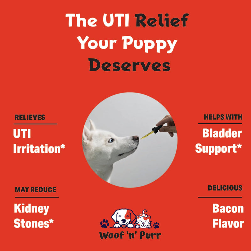 Natural Dog UTI Treatment - Dog UTI - Dog Urinary Tract Infection Treatment - UTI Dog Treatment - Dog UTI Supplement - Dog UTI Cranberry - Dog Cranberry Supplement - 1 fl oz - Bacon Flavor - PawsPlanet Australia