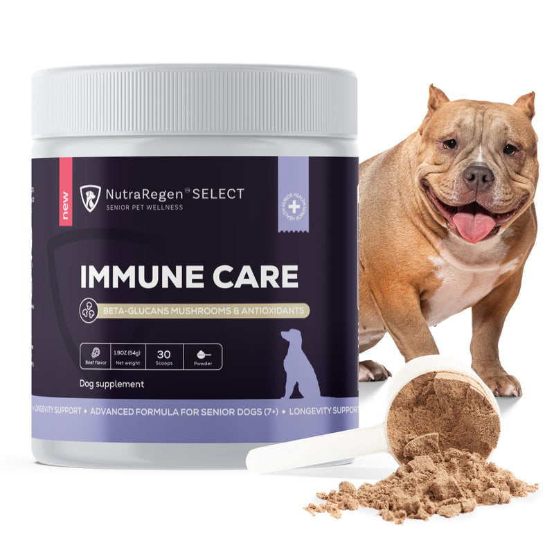 NutraRegen Dog Immune Support Supplement Powder 30 Scoops | Beef Flavored Powder with Turkey Tail Mushroom for Dogs| 30 Scoops Beef Flavor | 1.9 Oz