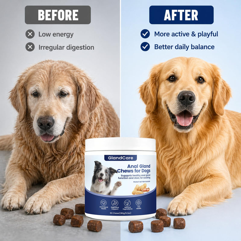 GlandCare Plus Anal Gland Chews for Dogs, Dog Anal Gland Supplement - Pumpkin, Psyllium Husk, Fiber, Supports Gut & Digestive Health (1) 1