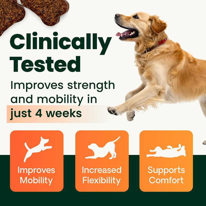 VetriScience Healthy Hip & Joint Chews, GlycoFlex Glucosamine and Green-Lipped Mussel Mobility Support Supplement for Dogs, Promote Play and Protect Joints, Chicken, 60 Count