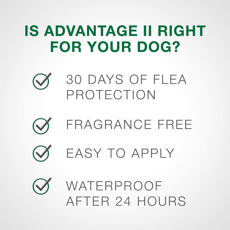 Advantage II 4-Dose Flea Treatment for Small Dogs, Flea Treatment for Small Dogs 3-10 Pounds - PawsPlanet Australia