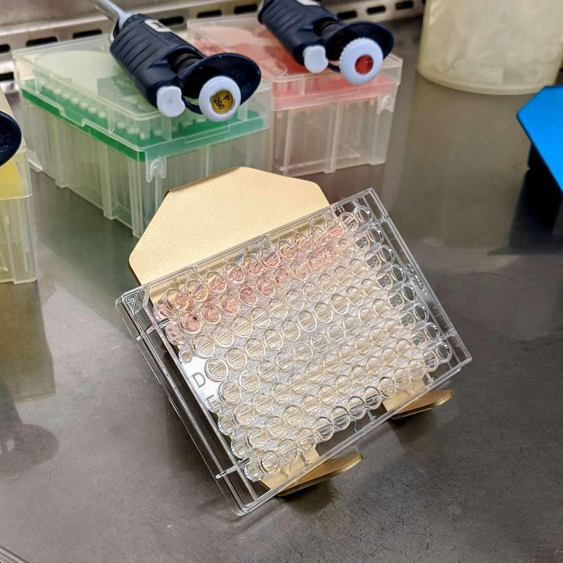 Angled Metal Petri Dish Holder - 30/40 Degree Cell Culture Plate Media Transfer Stand-Rack - Fits 60-200mm Well Plates, Flasks, Dishes - 2 Pack, Microbiology Lab Equipment Supplies - Science, Biology