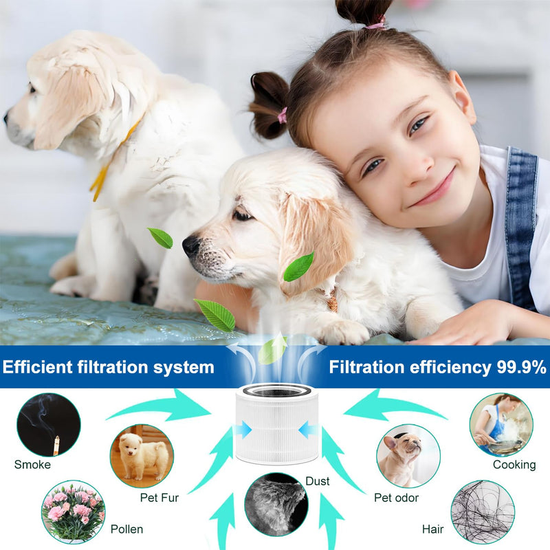 Replacement Filter Compatible with OLIXIS JHQ-D22-WT,BKJ-22G Air Purifier