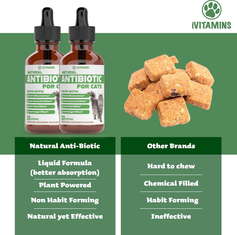 Natural Antibiotics for Cats | Cat Supplements | Cat Antibiotic | Cat Antibiotics | Cat Immune Support | Antibiotic for Cats | Cat Multivitamin | Multivitamin for Cats | 2 Pack: 60 Servings Total - PawsPlanet Australia