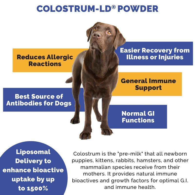 Veterinarian Approved Super Pet Nutrition - for Dogs and Cats - Liposomal Bovine Colostrum, Rich in Immunoglobulins (25%+), Support for Immune and Digestive Systems, Allergies (50 Grams) - PawsPlanet Australia