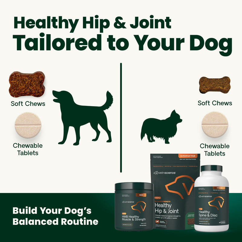 VetriScience Healthy Hip & Joint Chews, GlycoFlex Glucosamine and Green-Lipped Mussel Mobility Support Supplement for Dogs, Promote Play and Protect Joints, Chicken, 60 Count
