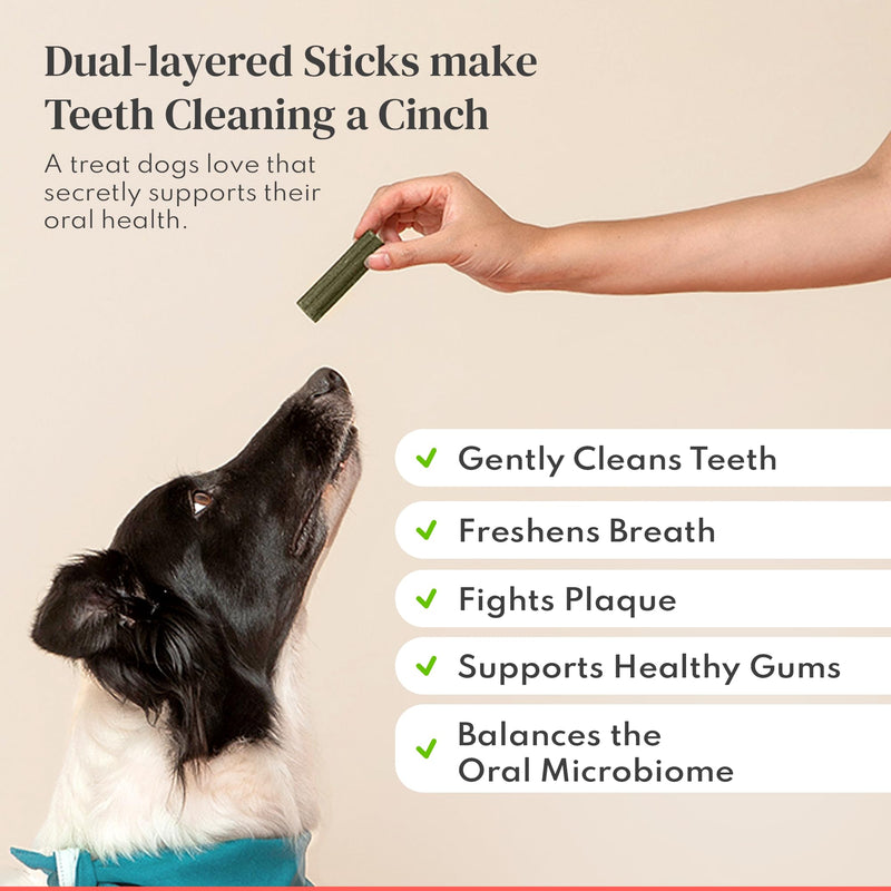 Dental Chews for Dogs – Scrapes Plaque, Freshens Breath, Fights Tartar – Dual-Layered Dog Dental Treats with Probiotics – Vet Formulated with 16 Active Ingredients – All Dog Sizes – Made in The USA