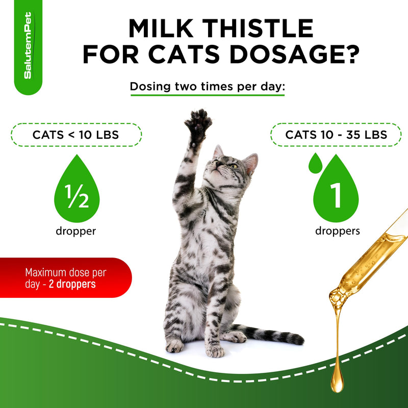 Milk Thistle for Cats | Cat UTI | Liver Support for Cats | Cat Milk Thistle | Feline UTI | Cat Cough | Milk Thistle Cats | Cat Urinary Tract | 2 Oz