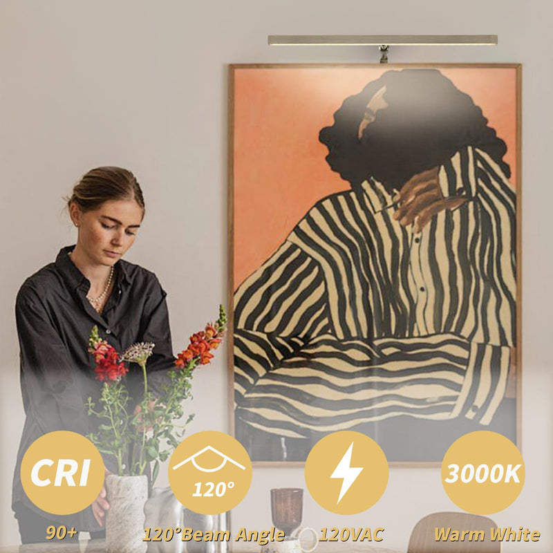 LED Picture Lights for Paintings Plug in, 16 Inch 4W Adjustable Art Light Gallery Wall Light for Display Art Work, Antique Brass Finish, CRI90+, 3000K Warm White 15.7inch,1 pack