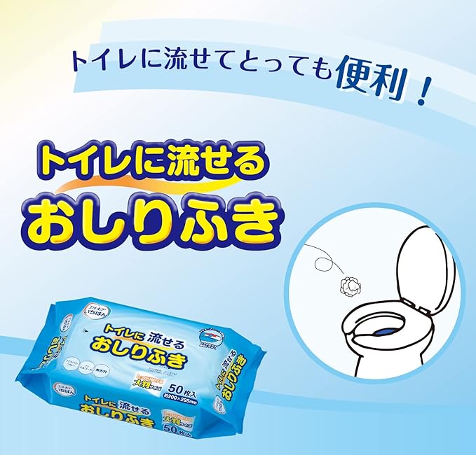 Granchois Elmore Best Toilet Wipes, Large, 200 Sheets (50 Sheets x 4 P) - NewNest Australia