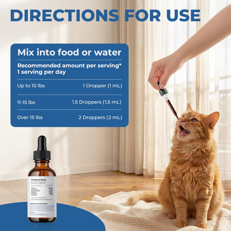 Taurine Supplement for Cats Liquid Drops, Cat Taurine with Coenzyme Q10 & L-Carnitine, Supports Heart Function, Vision & Daily Energy, Helps Maintain Consistent Taurine Intake (60 ml (Pack of 1)) 60 ml (Pack of 1)