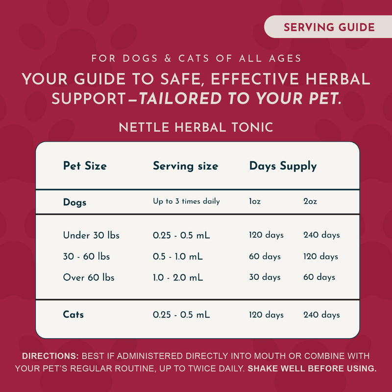 Animal Essentials Nettle Herbal Extract 1 fl oz Bottle