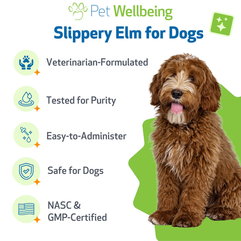 Pet Wellbeing Slippery Elm for Dogs - Vet-Formulated Dual Digestive & Throat Support - Organic Single Herb Extract - Holistic Soothing Dog Supplement - Liquid Formula 2 oz (59ml)