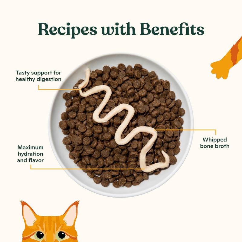 Made by Nacho Digestive Mousse Sachets, Lickable Cat Treats, 12 Count with Bone Broth, 0.5 oz, No Grains, Corn, Wheat or Soy Chicken and Pumpkin 0.04 Fl Oz (Pack of 12)