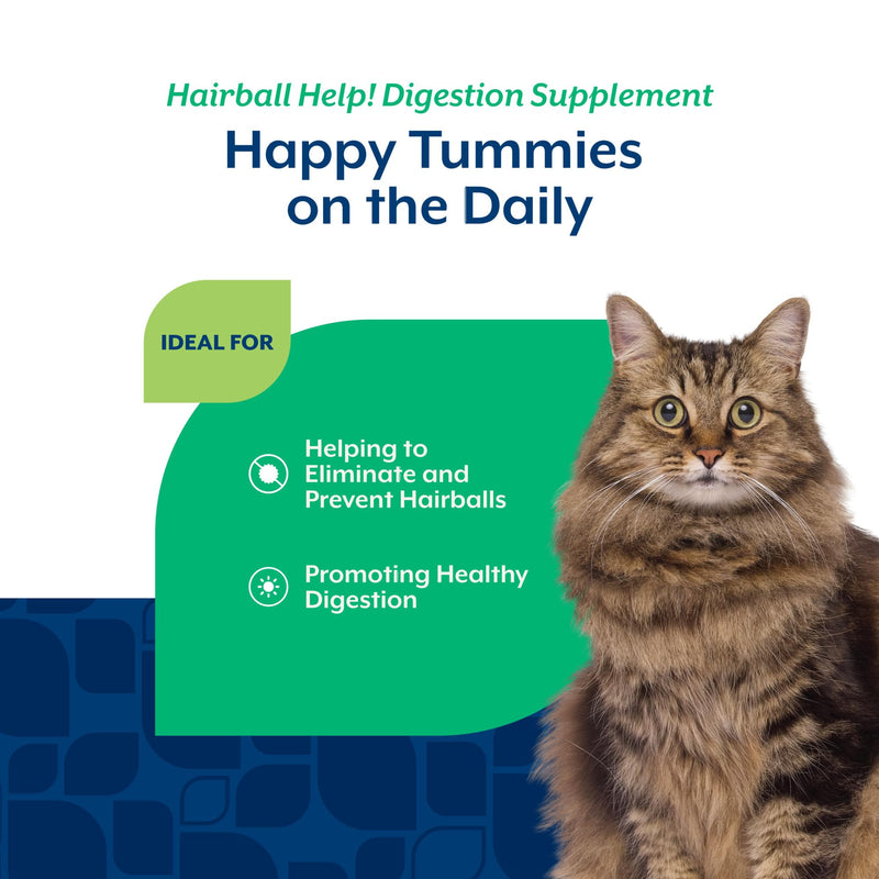 NaturVet Scoopables Hairball Aid for Cats - Helps Prevent & Eliminate Hairballs - Psyllium Husk & Pumpkin - Salmon Flavored Cat Health Supplement - Tastes Like Treats & Prevents Hairballs | 5.5oz Bag