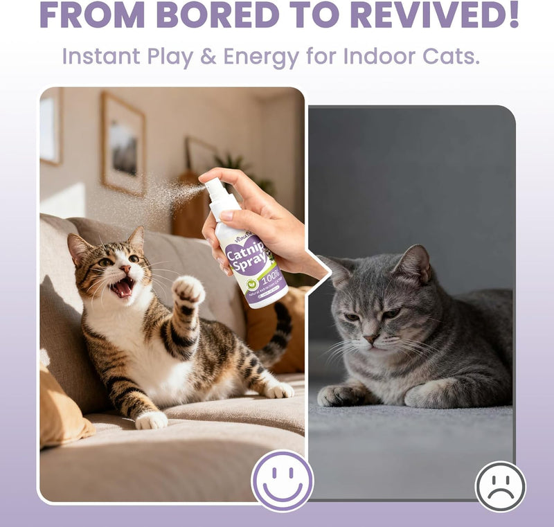 Catnip Spray