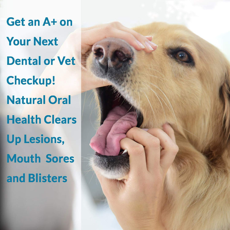 BestLife4Pets Oral Health for Dogs Dental Remedy - Highly Effective Natural Treatment for Inflammatory & Ulcerative Ailments, Stomatitis and Gingivitis. No Smell, No Side Effects - PawsPlanet Australia