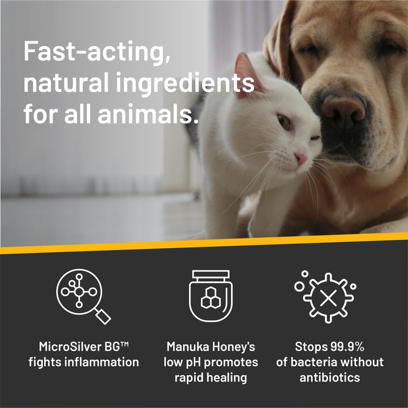 Absorbine Silver Honey Hot Spot & Wound Care Ointment for Dogs, Cats, Small Animals, 2oz Tube - PawsPlanet Australia