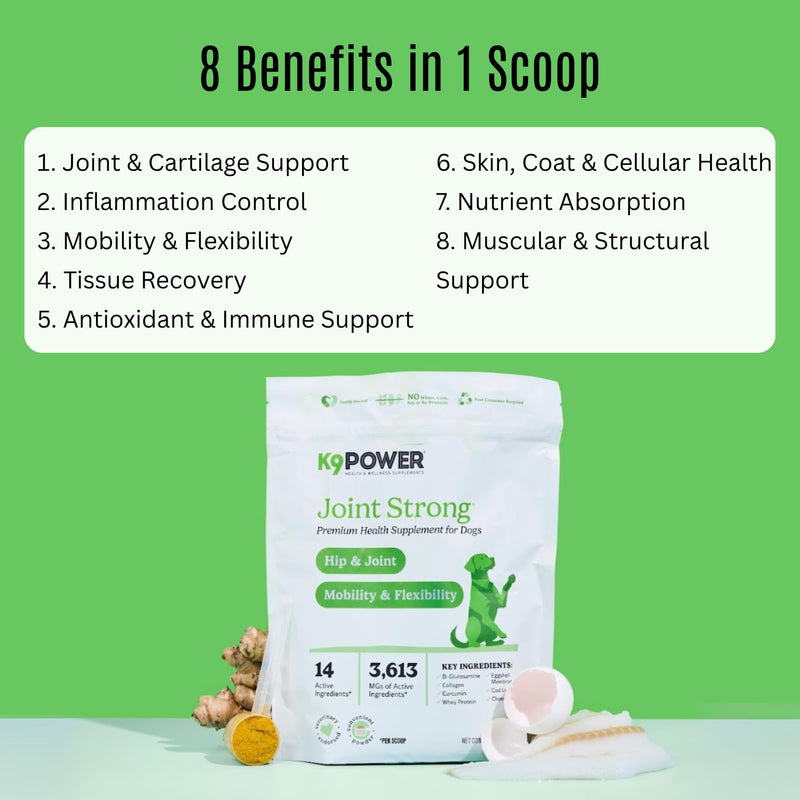 K9Power Joint Strong – Dog Joint Supplement for Mobility, Pain & Inflammation Relief – Glucosamine, Chondroitin, Collagen, Curcumin, Omega 3s, CMO, Green Tea – Ideal for Arthritis & Joint Protection Hip & Joint 1 lb (Pack of 1)