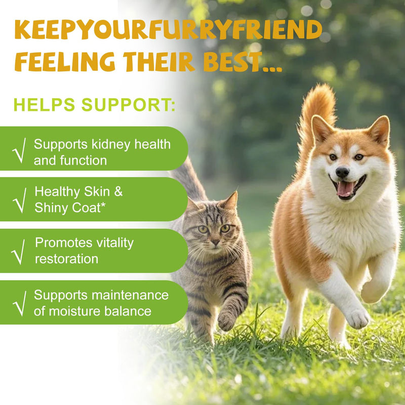 Kidney Support for Cats, Cat Kidney Support Cat Urinate Regularly, Strengthen Kidney Function, Cranberry Supplement Supports Healthy Kidney Function, Cats Nutritional Supplement Care - 60ml/2 fl.oz
