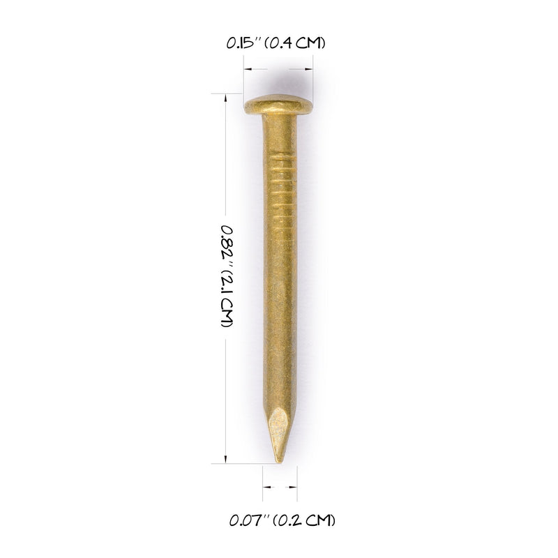 Hardware Philosophy Pure Brass Nails, 0.8 Inch, Bag of 100 - Architectural, Interior Design, Doors, Furniture Cabinet Customization Hardware (Pack of 2) 0.8" (Pack of 2)
