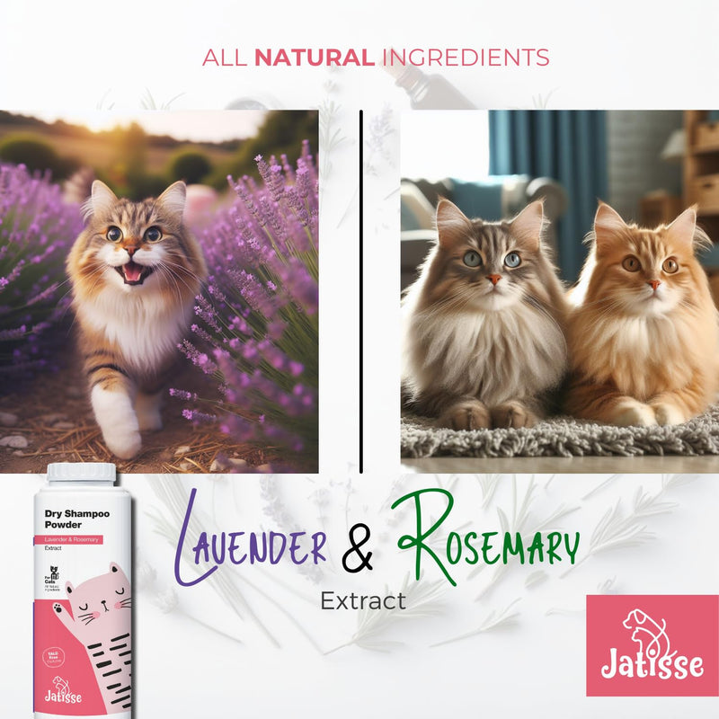Cat Dry Shampoo Powder with Lavender and Rosemary and Enzymatic Pet Toothpaste | Cat Tooth Brushing Kit | Cat & Dog Dental Care