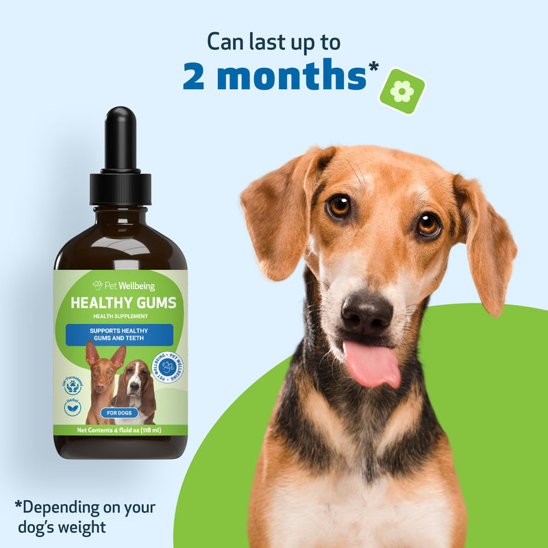 Pet Wellbeing Healthy Gums for Dogs - Topical Drops for Oral Care, Dental Health & Fresh Breath - NASC Certified & Vet-Formulated - 4 oz Liquid 4 fl oz (118 ml)