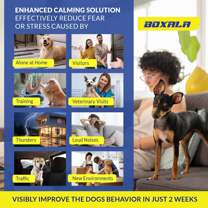 Dog Pheromones Calming Diffuser: Dog Calming Diffuser - Advanced Kit Appeasing Pheromone Diffuser for Dogs - Anxiety Relief for Dogs - Reduce Barking Aggression Fighting Stress - 2 Pack 45ml Refill 3.04 Fl Oz (Pack of 1)