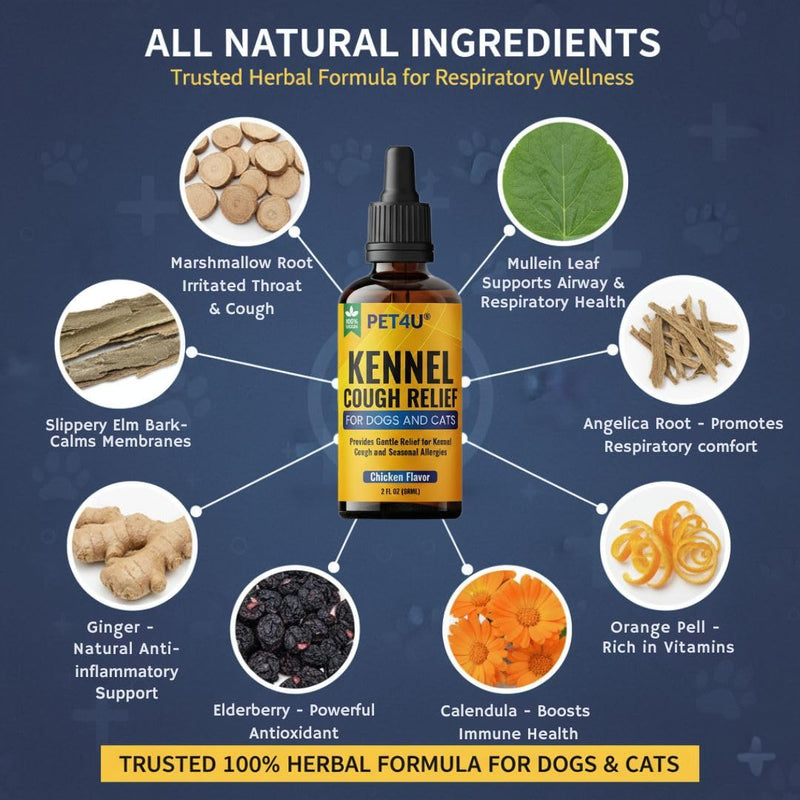 Kennel Cough Relief for Dogs & Cats - Natural Herbal Drops for Persistent Cough, Throat Irritation & Seasonal Allergies - Respiratory & Immune Support - Chicken Flavor